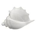 Coquille Triton en verre soufflé blanc