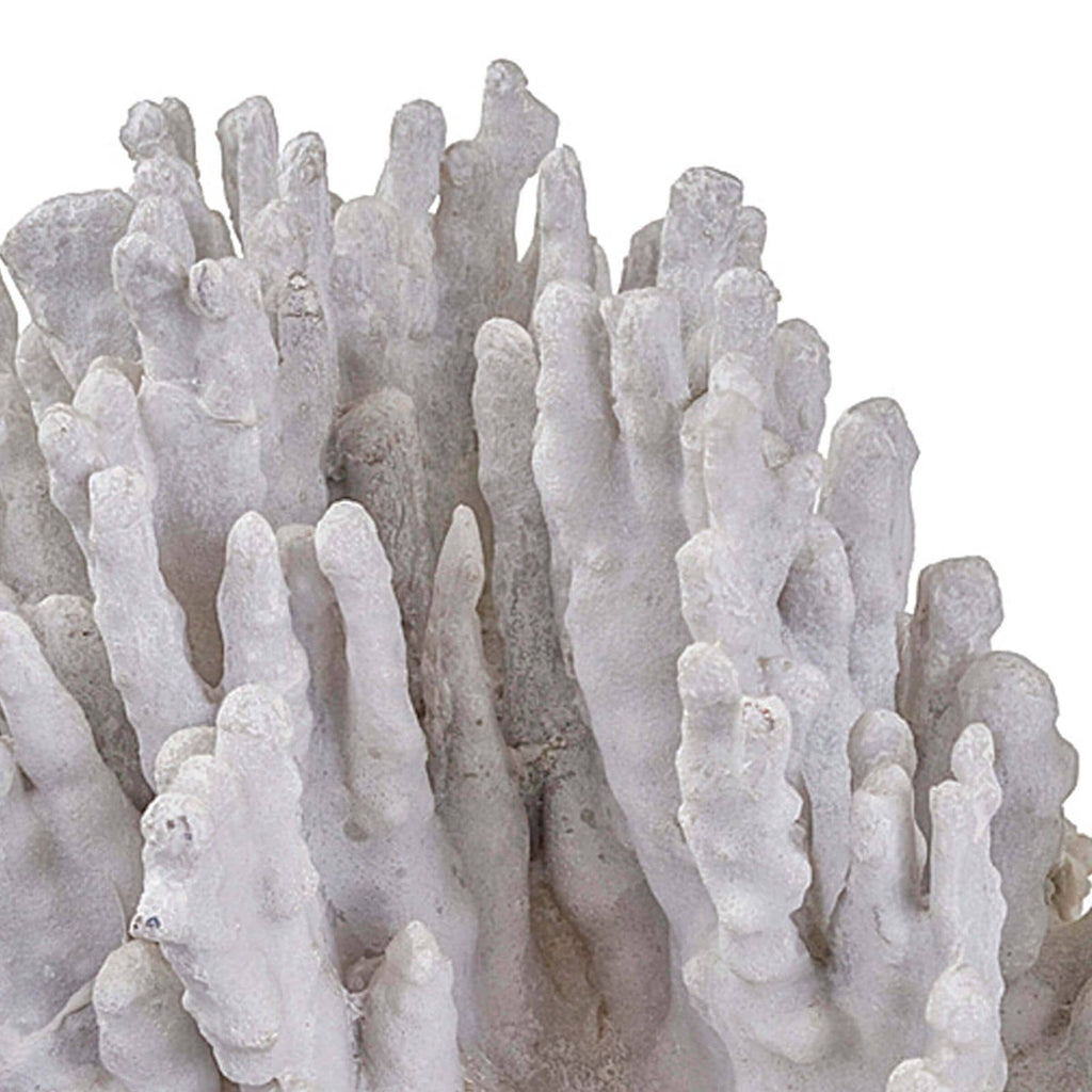 Corail Pièce d'Art Grande Blanche