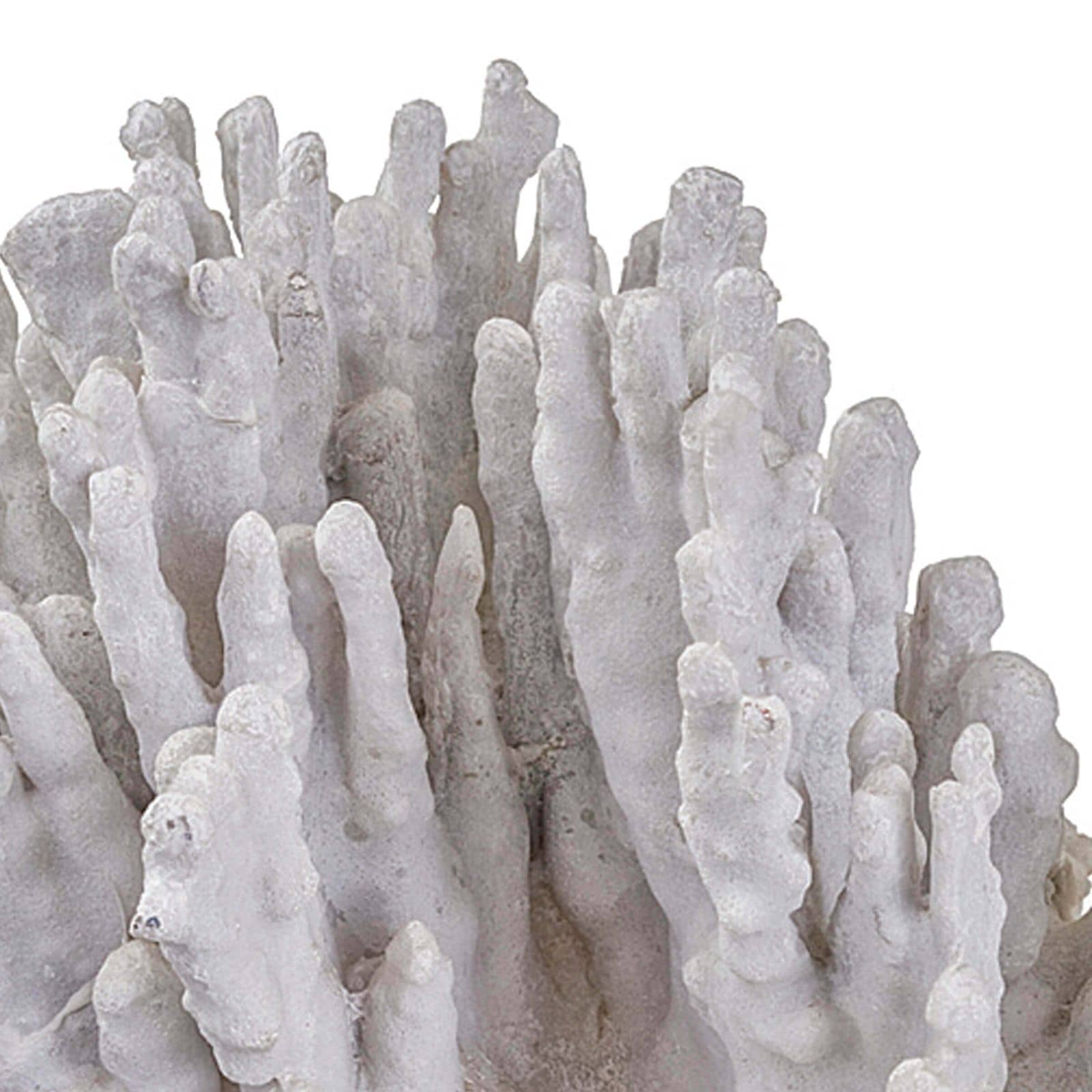 Corail Pièce d'Art Grande Blanche