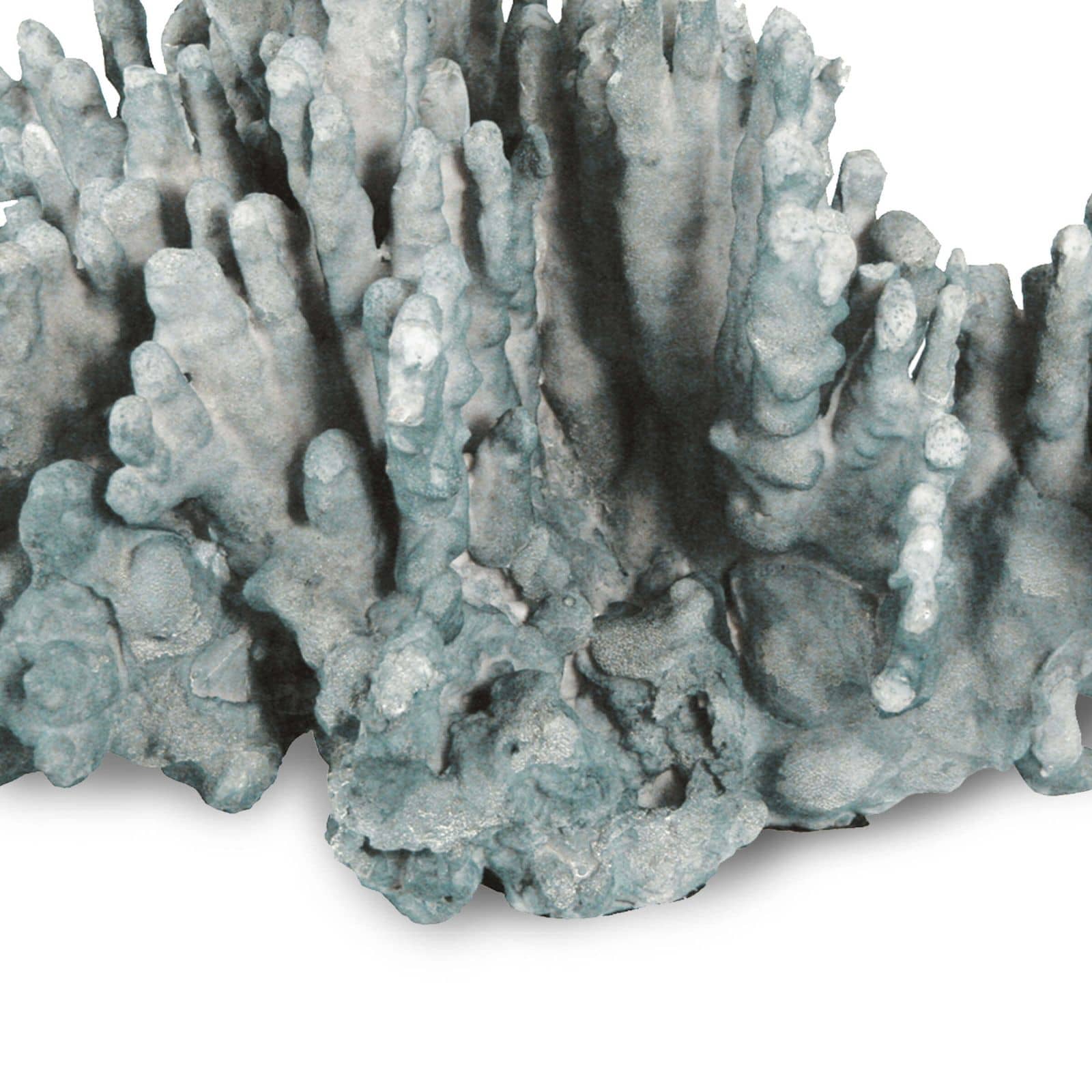 Œuvre d'art corail grande bleue