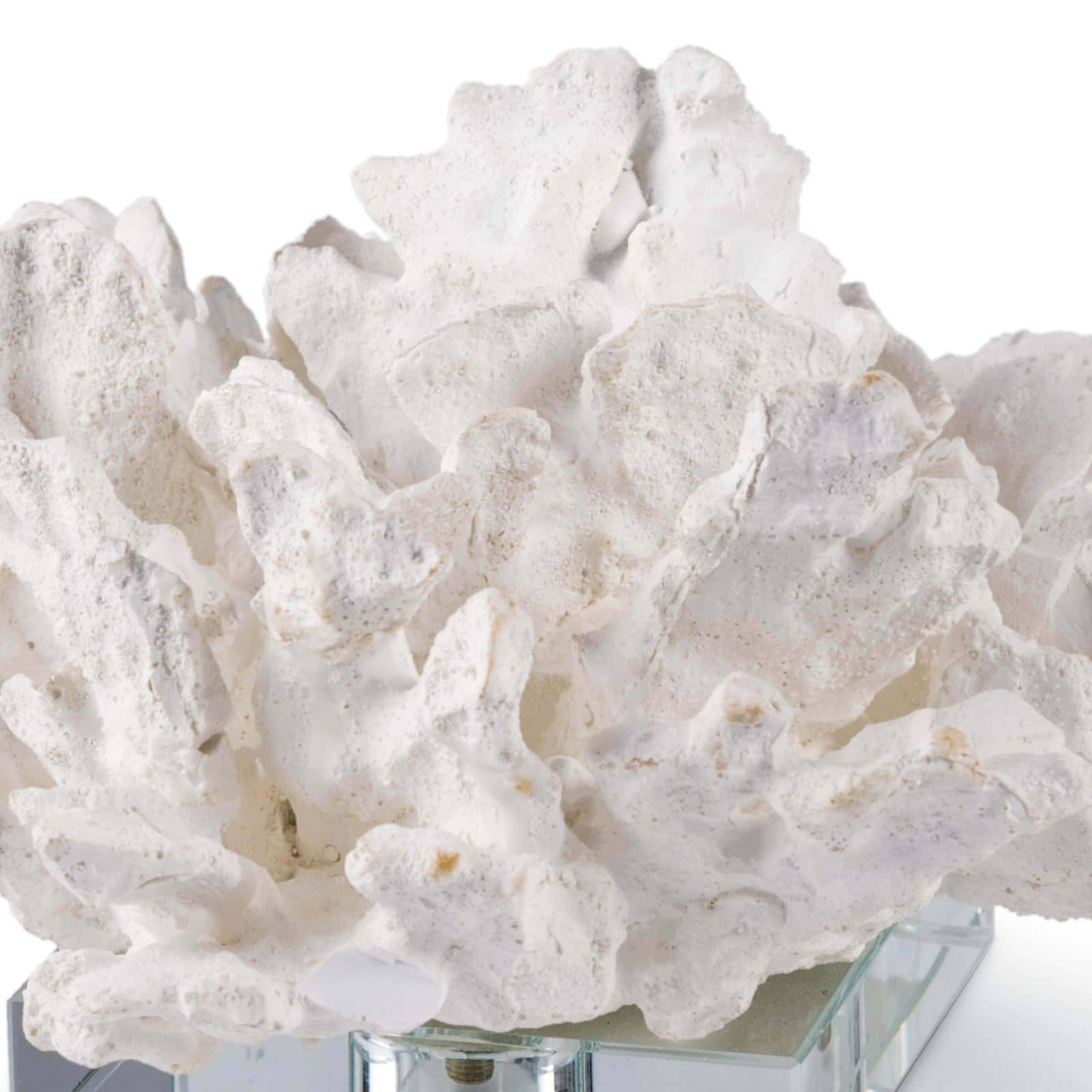 Corail fleur sur socle en cristal blanc